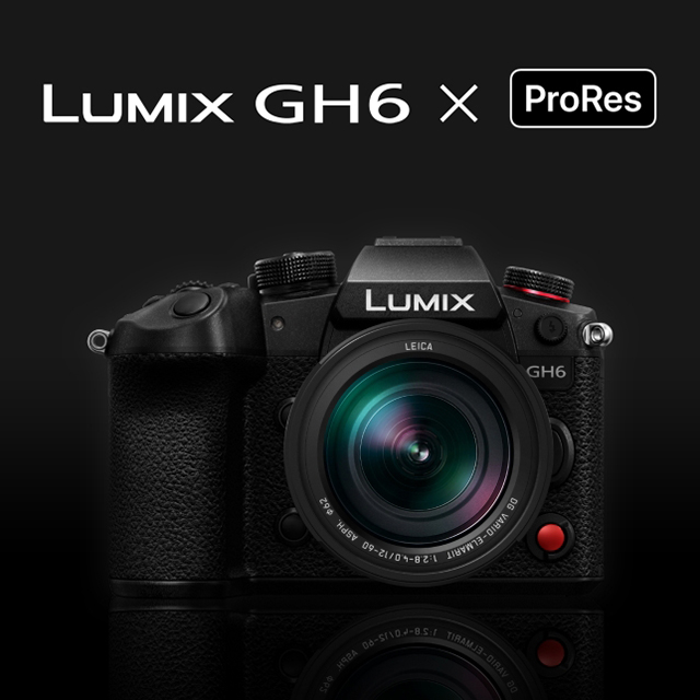 panasonic dmc 6